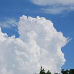 Thunderhead

"What storms approach? Can we believe in Christ we are not alone?"